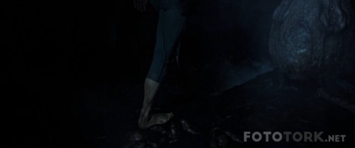 4fcf2f.jpg