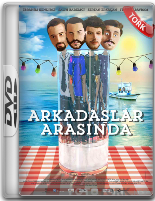 DVDRip.png