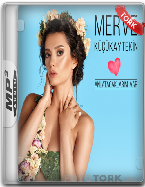 Mp3222.png