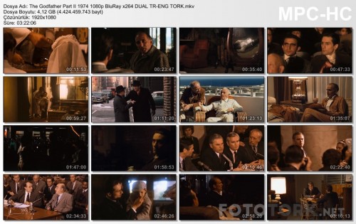 TheGodfatherPartII19741080pBluRayx264DUALTR-ENGTORK.mkv_thumbs_2017.09.06_17.38.27.jpg