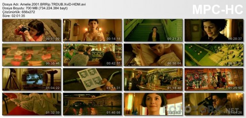 Amelie.2001.BRRip.TRDUB.XviD-HDM.avi_thumbs_2017.09.13_19.07.04.jpg