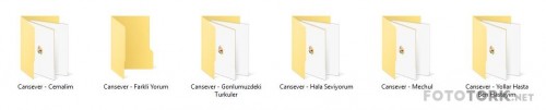cnsekos.jpg