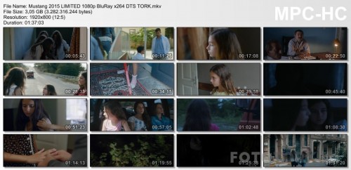 Mustang-2015-LIMITED-1080p-BluRay-x264-DTS-TORK.mkv_thumbs.jpg