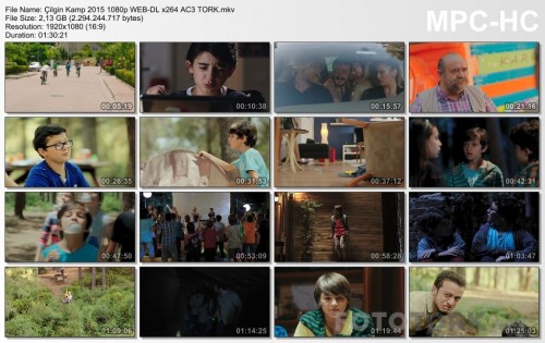 Cilgin-Kamp-2015-1080p-WEB-DL-x264-AC3-TORK.mkv_thumbs.jpg