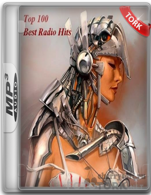 Mp3top100.png