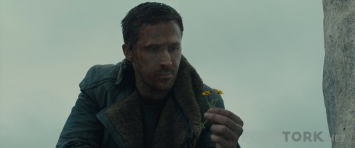 Bicak-Sirti---Blade-Runner-2049-2017-720p-BluRay-x264-DUAL-TR-ENG-TORK.mkv_snapshot_00.11.34.jpg