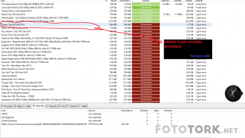 torrnet1.png