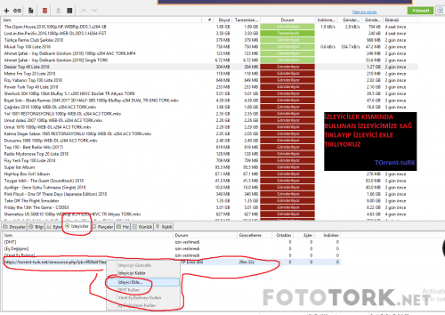 torrnet2.png