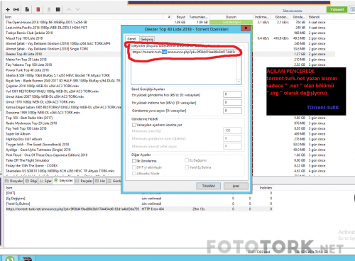 torrnet3.png