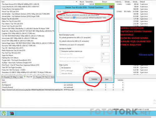 torrnet4.png