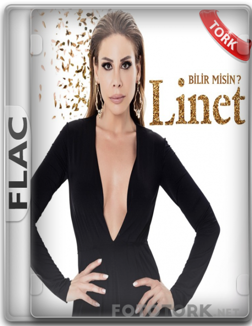 linet.png
