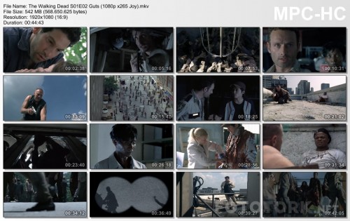 The-Walking-Dead-S01E02-Guts-1080p-x265-Joy.mkv_thumbs.jpg
