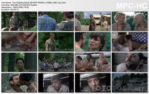 The-Walking-Dead-S01E05-Wildfire-1080p-x265-Joy.mkv_thumbs.jpg
