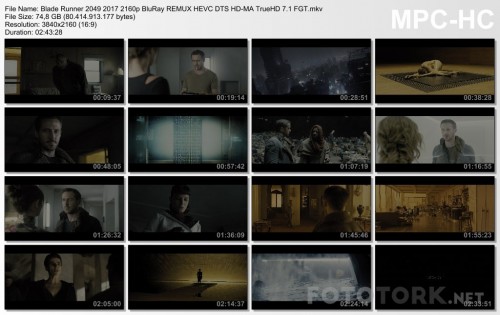 Blade-Runner-2049-2017-2160p-BluRay-REMUX-HEVC-DTS-HD-MA-TrueHD-7.1-FGT.mkv_thumbs.jpg