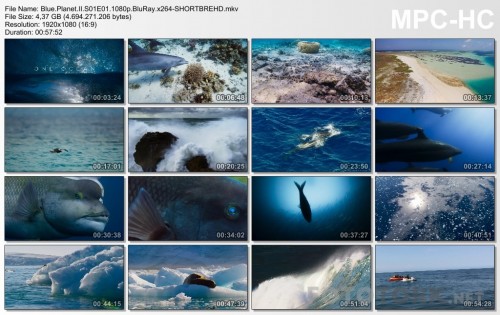 Blue.Planet.II.S01E01.1080p.BluRay.x264-SHORTBREHD.mkv_thumbs.jpg