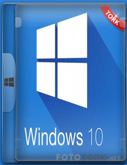 Windows.jpg
