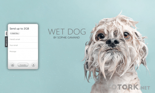 wetransfer-nedir-nasil-kullanilir-2.png