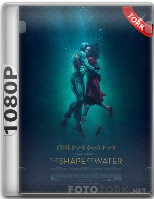 1080pshape.png