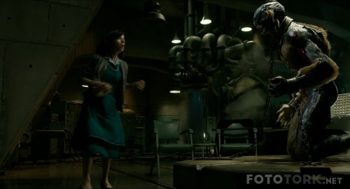 The-Shape-of-Water-2017-1080p-BluRay-H264-TR-Altyazi-TORK.mp4_snapshot_00.39.56.jpg