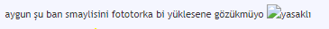 197b812a985c29d1c.png