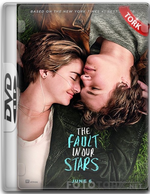 DVDRip.jpg