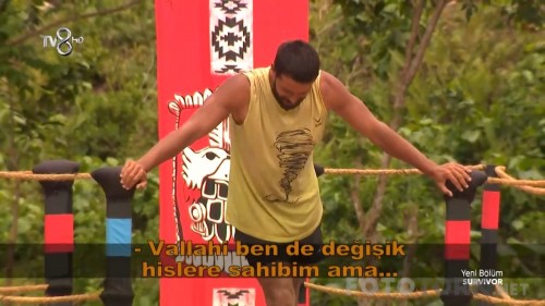 survivor04.jpg