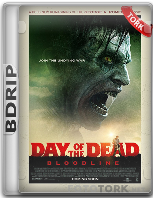 BDRip.png