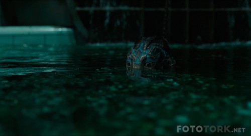 The-Shape-of-Water-2017-BluRay-1080p-x264-DUAL-TR-Dil-Secenekli-TORK.mkv_snapshot_00.25.09.jpg