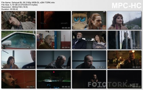 Sahsiyet-BL-06-2160p-WEB-DL-x264-TORK.mkv_thumbs.jpg