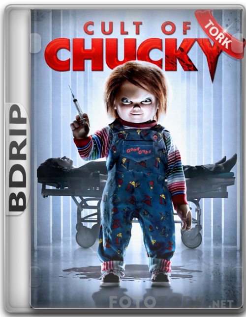 BDRip.png