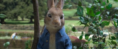 Peter-Rabbit-2018-720p-BluRay-x264-TR-Altyazi-TORK.mkv_snapshot_00.03.49.jpg