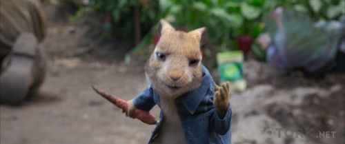 Peter-Rabbit-2018-720p-BluRay-x264-TR-Altyazi-TORK.mkv_snapshot_00.06.13.jpg