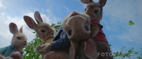 Peter-Rabbit-2018-720p-BluRay-x264-TR-Altyazi-TORK.mkv_snapshot_00.13.07.jpg