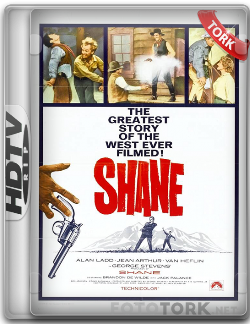 shanee.png