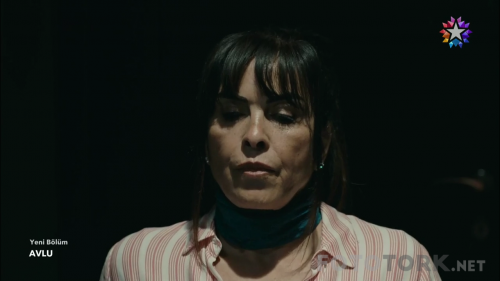 Avlu.BL.10.HDTvRip.720p.AC3.by.TheWelleTy.TORK.mkv_77920560000.png