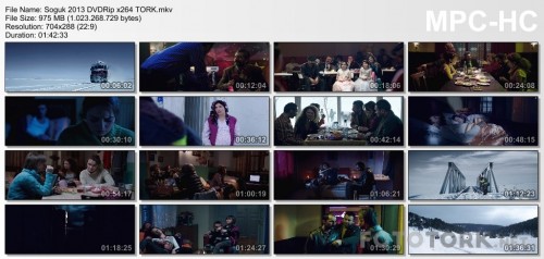 Soguk-2013-DVDRip-x264-TORK.mkv_thumbs.jpg