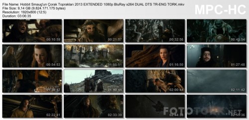 Hobbit-Smaugun-Corak-Topraklari-2013-EXTENDED-1080p-BluRay-x264-DUAL-DTS-TR-ENG-TORK.mkv_thumbs.jpg