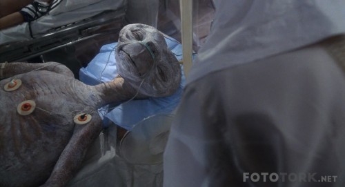 E.T.-The-Extra-Terrestrial-1982-Bluray-1080p-TRDUB-TORK.mkv_snapshot_01.21.38.jpg