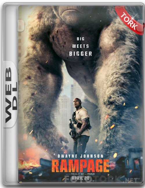 WeB-DL1.png