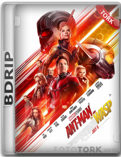 BDRip.png