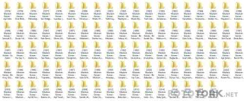 fsd.png