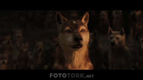 Mogli---Orman-cocugu1-muxed180p.mkv_000402068.png