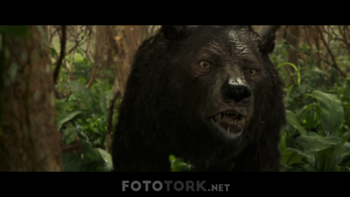 Mogli---Orman-cocugu1-muxed180p.mkv_001246537.png