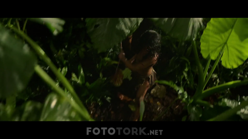 Mogli---Orman-cocugu1-muxed180p.mkv_002383298.png