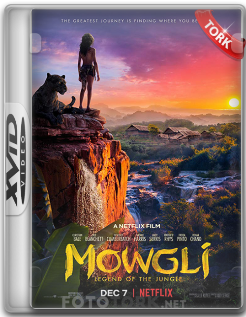 mowgliXvid.png
