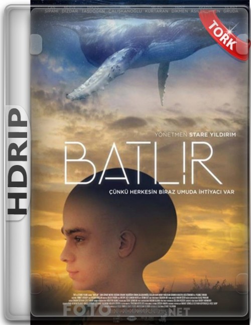 HDRip.jpg