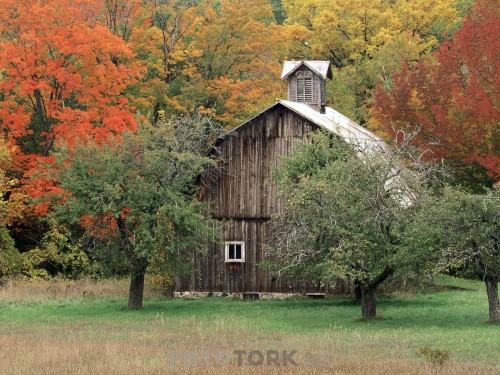 Rustic-Barn-Leelanau-County-Michigan.jpg