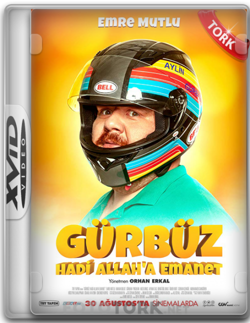Xvid.png