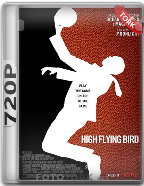 High-Flying-Bird.png