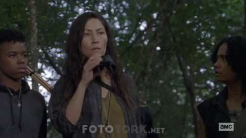 The.Walking.Dead.S09E10.720p.HDTV.x264-AVS.mkv_snapshot_05.34.812.jpg